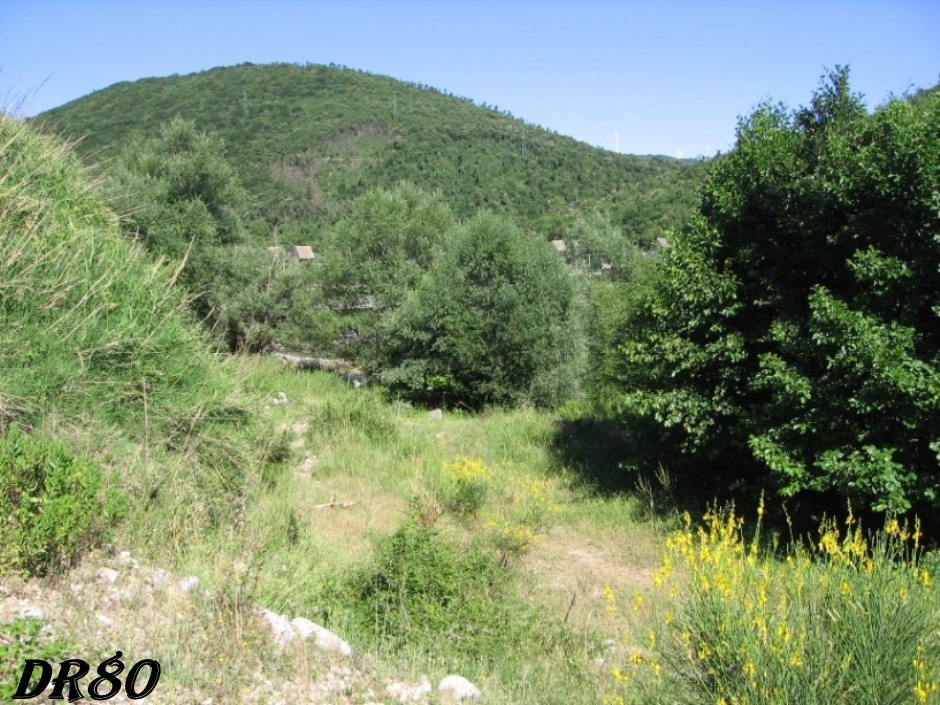 Zona di interesse erpetologico...e non solo!!!